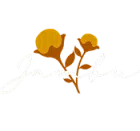 Jambu Eventos – Buffet de Churrasco a Domicílio